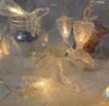 Harbor Series LED Solar Seashell & Starfish Christmas String Lights - Festive Room Decor