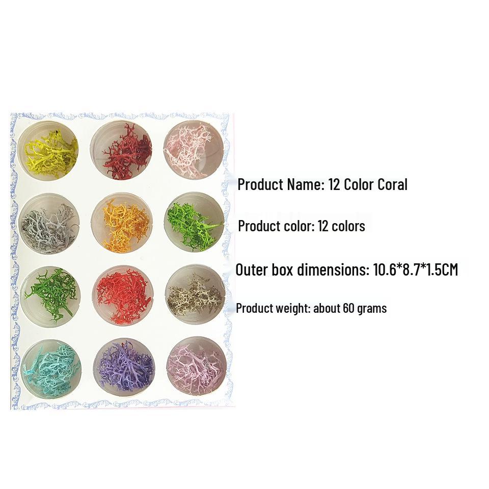 Нейл-арт с сушеными цветами: Набор  Кружечный подсолнух и маленькая ромашка  (24 шт) для макияжа глаз и сценического оформления. Carton