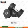 Yongchi Fixed PEV Coated Dumbbell
