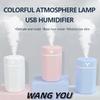 Portable 300ml Air Humidifier Aromatherapy Humidificador For Home Car USB Sprayer With LED Color Night Lamp Purifier