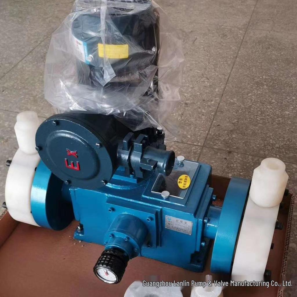 DZ-X2/50 304 Stainless Steel Acid & Alkali Resistant Plunger Metering Pump