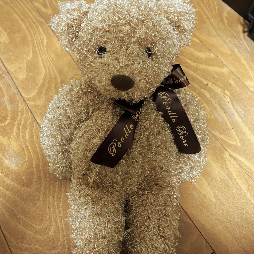 

[USED] Teddy bear stuffed animal