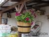 Wooden Flowerpot 50XH45 Wide K. OAK