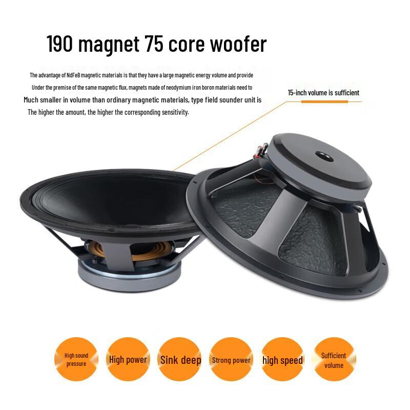 Shile BM-15 15-inch Professional Stage Speaker (Pair)