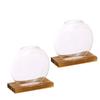 Elegant Round Glass Planters Transparent Glass Plants Glass Vase  Weddings
