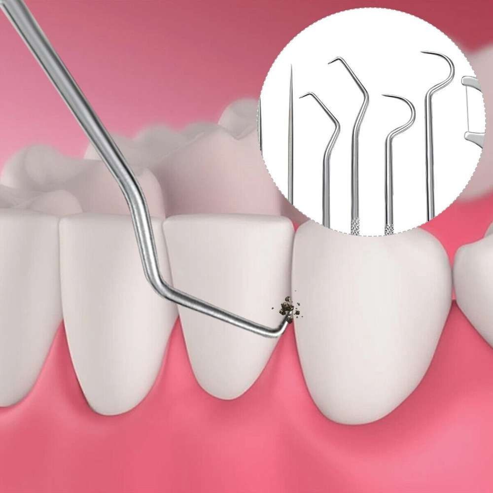 Oral Cleaning Tool Toothpick Pocket Set Stainless Steel Toothpick Set Tooth Pick Keychain Holder