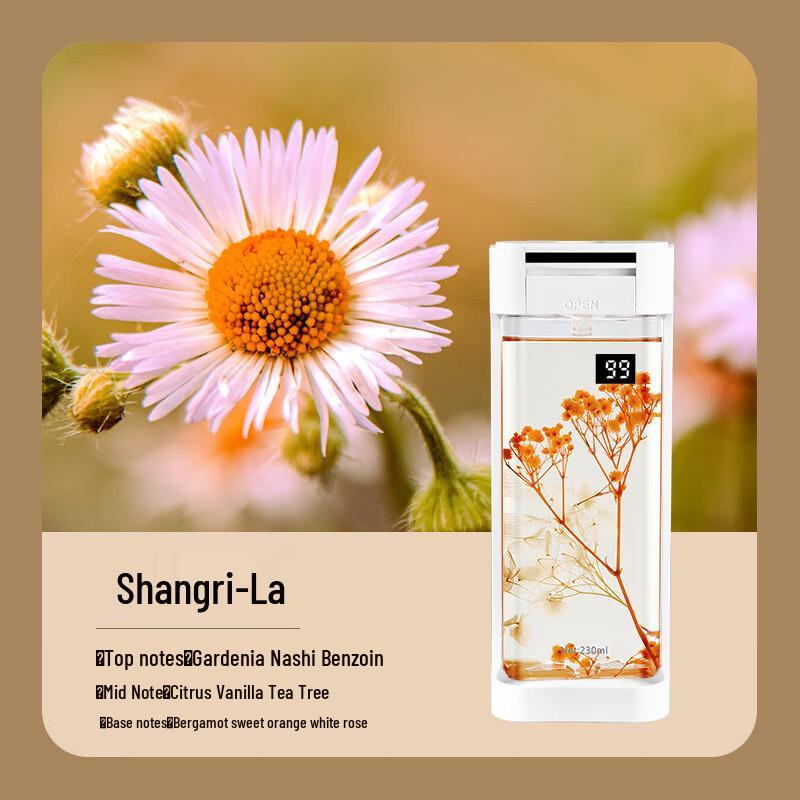 Jiaxiu Automatic Hotel Aroma Diffuser CN Plug (adapter Included)