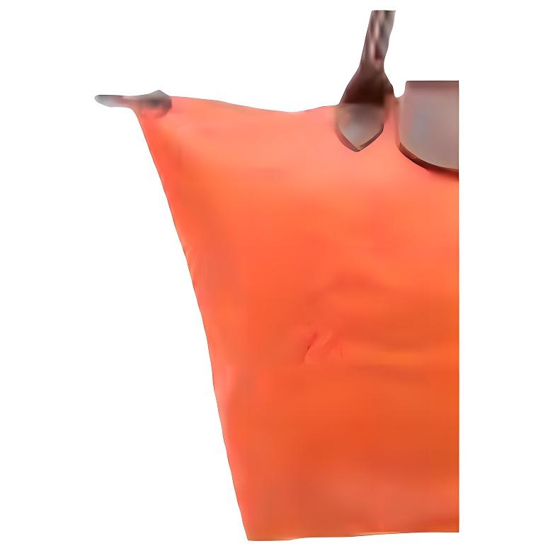Longchamp Le Pliage Origina 30 Short Handle Snap Zipper Closure PU Canvas With Leather Trim Dumpling Tote Bag Medium Women tote bags Orange 1623089P85