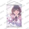 [USED] How To Raise a Boring Girlfriend - Misaki Kurehito Art Collection, Volume 2, Fine. Tapestry, Colored Paper