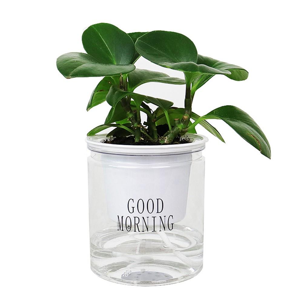 Stylish and Functional Automatic Water Absorption Flower Pot for Indoor Plants
