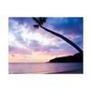 Beach Seaside Scenery Series Background Cloth for Summer Parties,Events,Photo Shoot Backdrop,Beach Theme Decor,Weddings