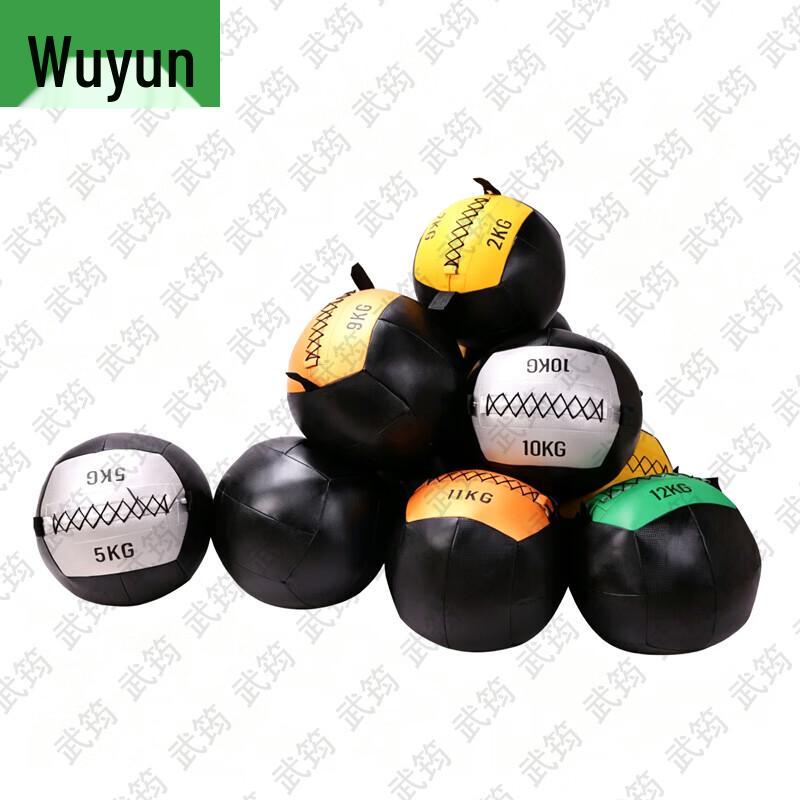 Wujun Fitness Wall Ball