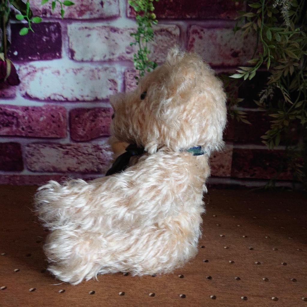 [USED] Vintage Teddy Bear, Artist Unknown