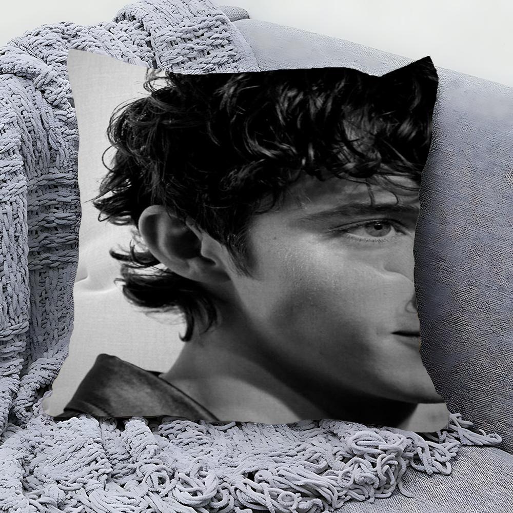 

Troye Sivan Cushion Cover Pillowcase Upholstery Sofa Throw Pillow Home Decor Pillowcas 40x40 cm