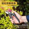 Deli Tools Labor-Saving Alloy Steel Pruners: Garden, Tree, and Flower Branch Pruning - Model D580201
