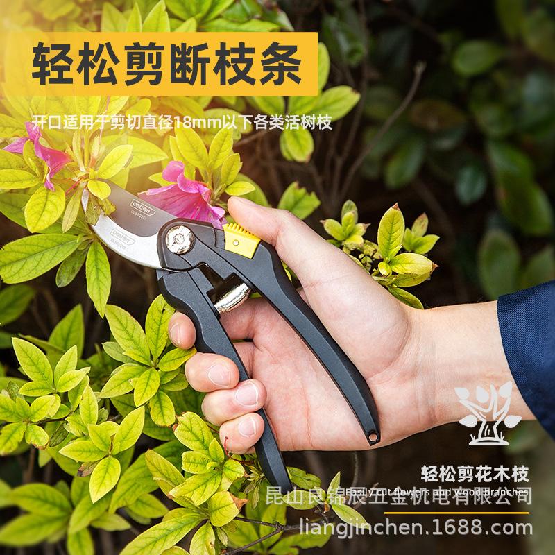 Deli Tools Labor-Saving Alloy Steel Pruners: Garden, Tree, and Flower Branch Pruning - Model D580201