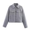 European and American Women's Clothing Autumn New Korean Commuter Style Versatile Soft Zipper Long-sleeved Short Woolen Jacket