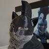 Agamemnon Katzenhelm Cos Spartanische Haustierhut Halloween Cosplay Requisite Lustige Katzenmaske Party Kostüm Foto Dekoration Zubehör