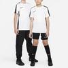 Nike Dri-FIT Academy 23 Color Block Logo Embroidered Crew Neck Sports T-Shirt Kids Tops White DX5482-100