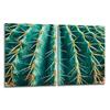2x GLASS PROTECTIVE PLATE FOR STOVE 40x52 CACTUS