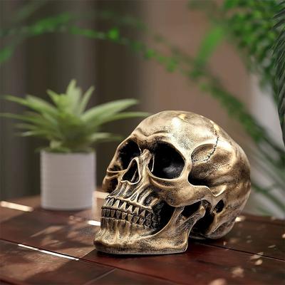 1PC Life Size Resin Human Skull Model, Realistic Human Adult Skull Head Bone Model, Halloween Room Decor Goth, Ghost Face