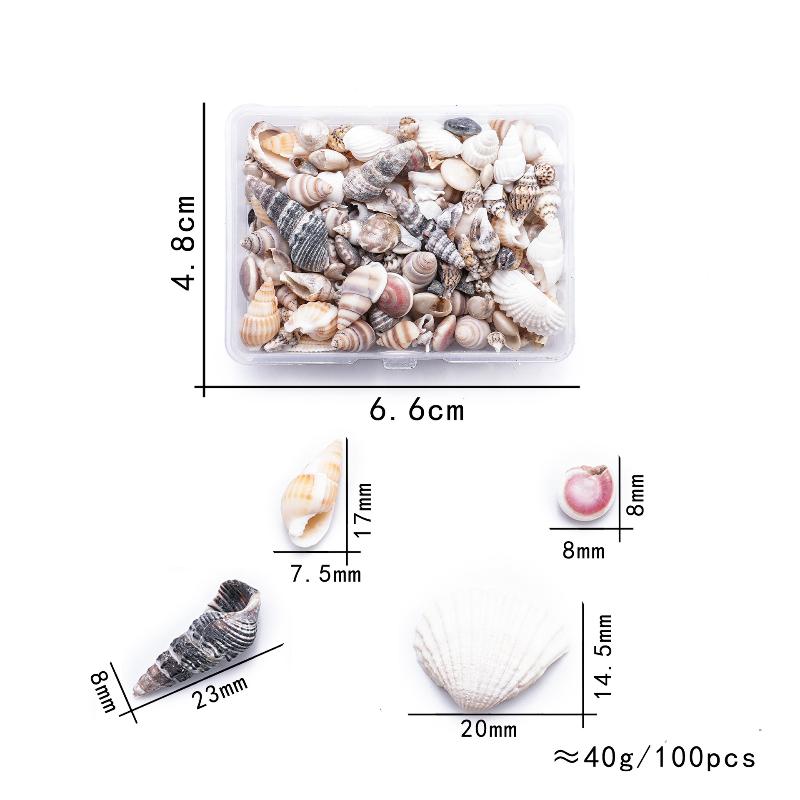 

1 Коробка Морские Ракушки Спиральные Ракушки Крошечные Океанские Спиральные Морские Ракушки Поделки Украшение для Аквариума Ландшафтные Аксессуары Реквизит для Фотографии