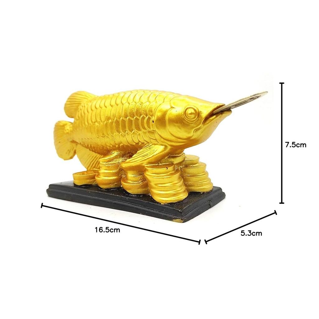 Feng Shui Golden Arowana Fish Statue Showpiece with Coin In Mouth Wealth Symbol, Protects Mishaps, Troubles Vastu Products Home & Office