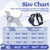 Model Dog rabbitgoo Dog Harness for Dogs Adjustable No Head Reflective Material for Nighttime Secure Cough Walking Senior Dog Care Easy to Put On and