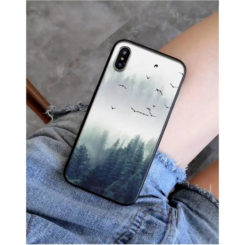 

Чехол для мобильного телефона iPhone16 Чехол для мобильного телефона с изображением гор, леса, тумана отправляется от имени других лиц, окрашен в анти-капельный цвет для защиты от падений. iPhone 16 Plus