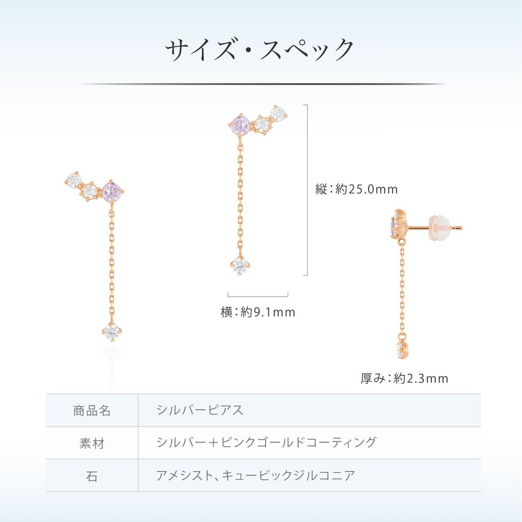 Silver Earrings 112514151901 [4℃] [February Birthstone]