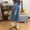 Plus Size High Waist Wide Leg Cropped Denim Pants for Women, Summer 2026 – Loose Fit, Slimming Straight Leg Shorts