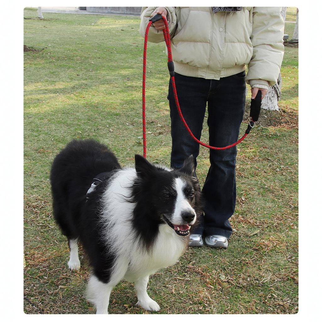 Plutus Haustierseil Hundeleine 1,8 m lang, Verkehrspolsterung Zwei Griffe, Strapazierfähig, Reflektierende Doppelte Griffe für Kontrolle Sicherheitstraining