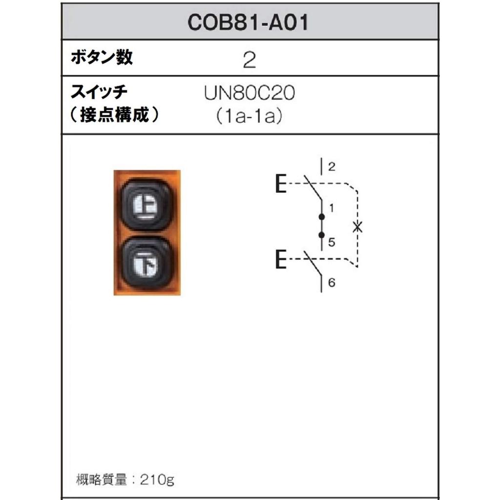 Kasuga Electric Hoist Push Button Switch Indirect Operation of Electric (for Motors), 2-Button, COB81-A01