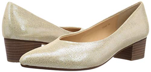 Enchanted Women's Water-Repellent Pointed Pumps 17042B, Platinum, Size 39