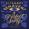 A Perfect Story by Elisabet Benavent Paperback Book 9781464234408