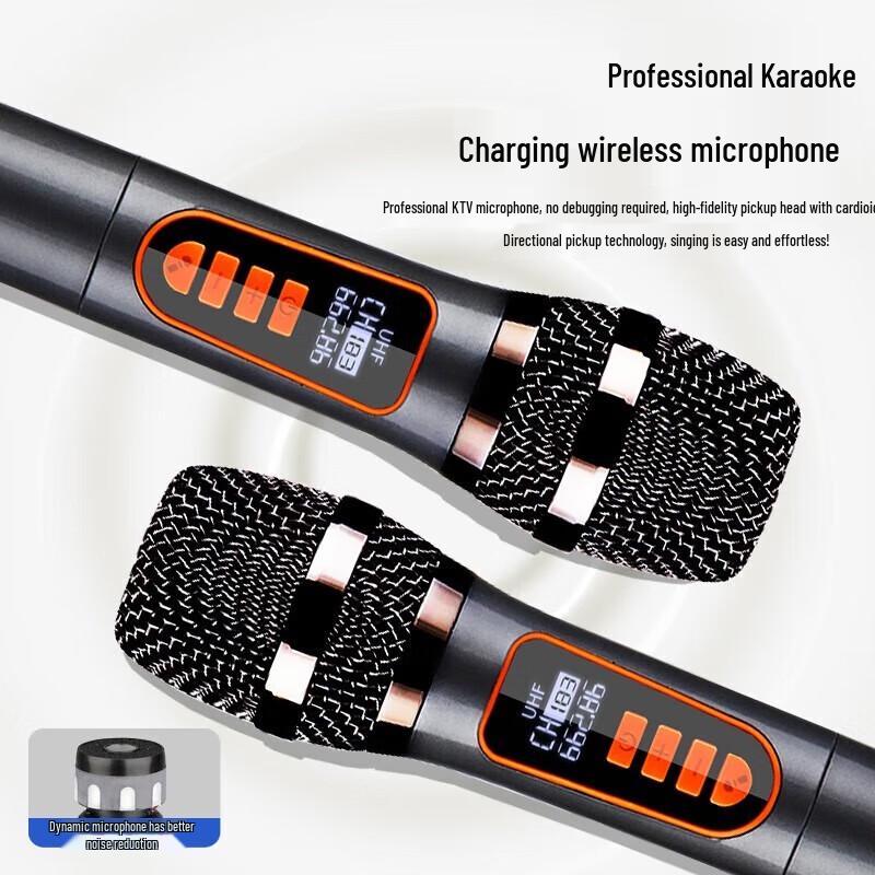 KONKA 12-inch Portable Karaoke Speaker with Dual Mics