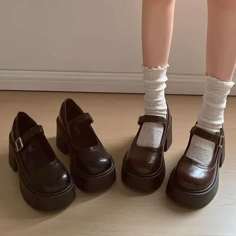 Fashion Brown Retro French Thick Heel Mary Janes Women's Shoes Spring 2025 New Style Heightening Flat Mouth High Heels Loafers Shoes
