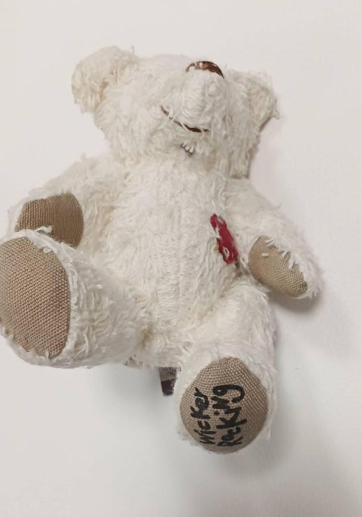 [GEBRAUCHT] Teddybär Frottee mit Etikett