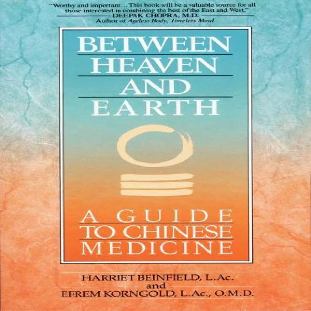 Zwischen Himmel und Erde von Efrem Korngold Taschenbuch 9780345379740