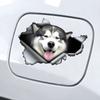 Naklejki na samochód Malamute, Odporne na warunki atmosferyczne naklejki winylowe na okna, Zderzak Rękodzieło - Naklejki na pojazd z materiału PVC
