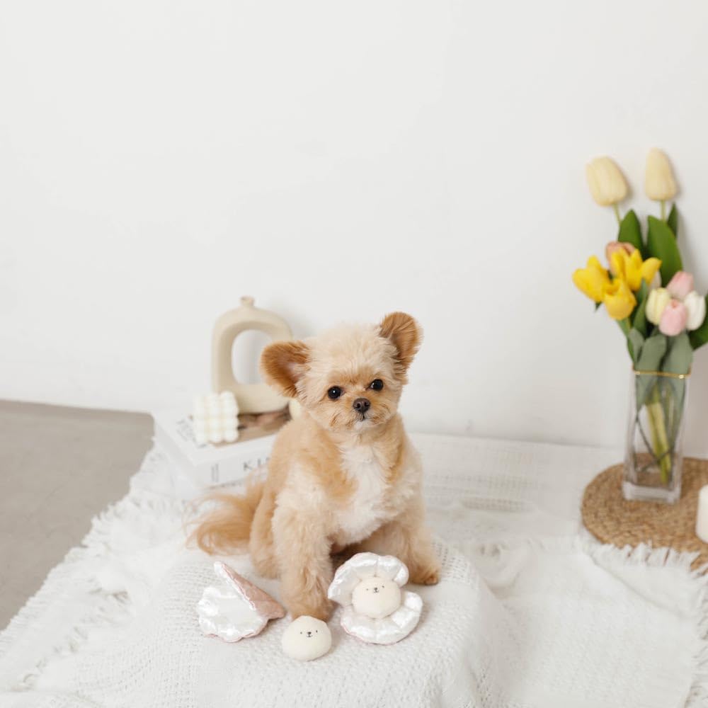 Nasenarbeitshunde Kleine Hunde Mittelgroße Hunde Niedlich Stilvoll Beliebte Marke Toypudel Chihuahua monchéri [Muschel Spielzeug] (KOSTENLOS/Rosa)