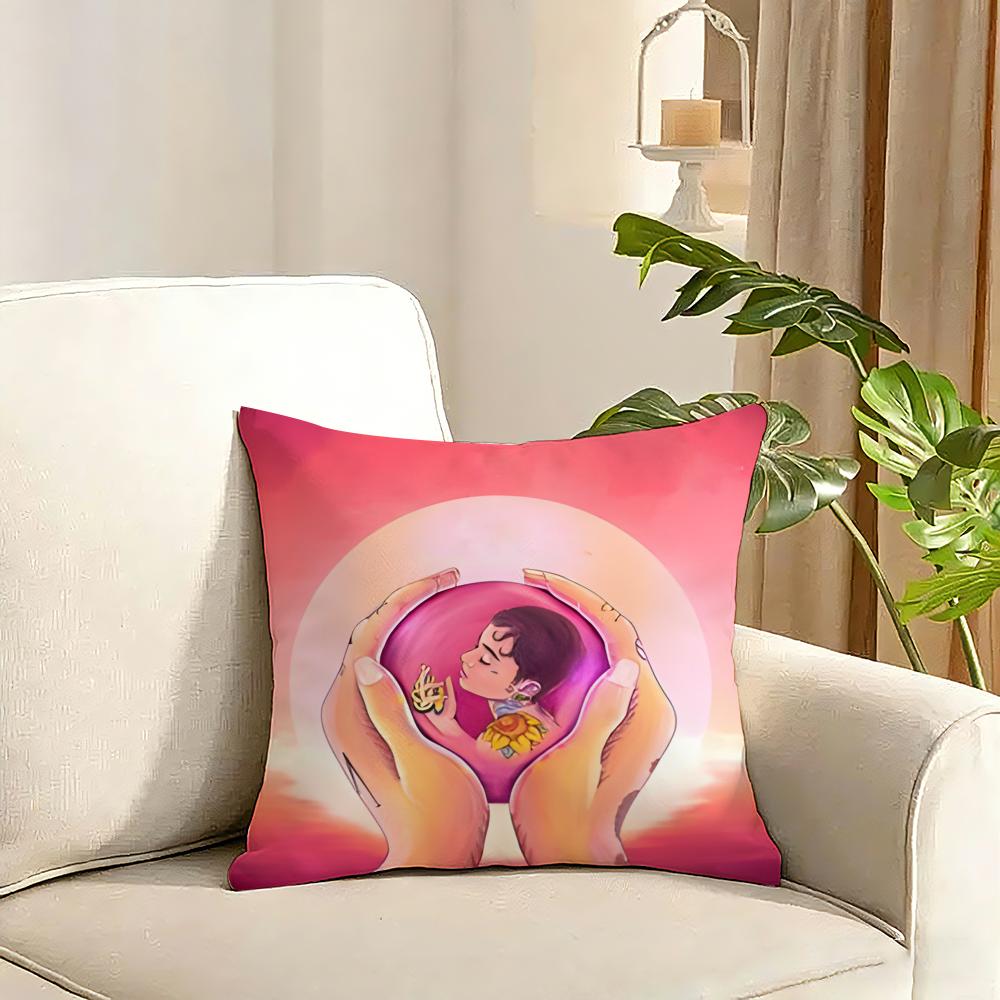 Singer KKehlani Cushion Cover Reversible Plush Pillow Cover Soft Fluffy Home Decor for Sofa Bedroom