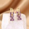 Micro-painted Zircon Hoop Earrings, Versatile And Elegant High-end Earrings For Women