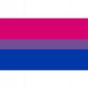Lgbt Rainbow Flag Large 90X150Cm Bisexuality F7