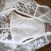 Low Waist Underpant Lace Sexy Perspective Briefs Bag Hip Breathable Ladies Panties