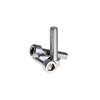 M2X5 Allen Screw Din912 A2 10-Piece