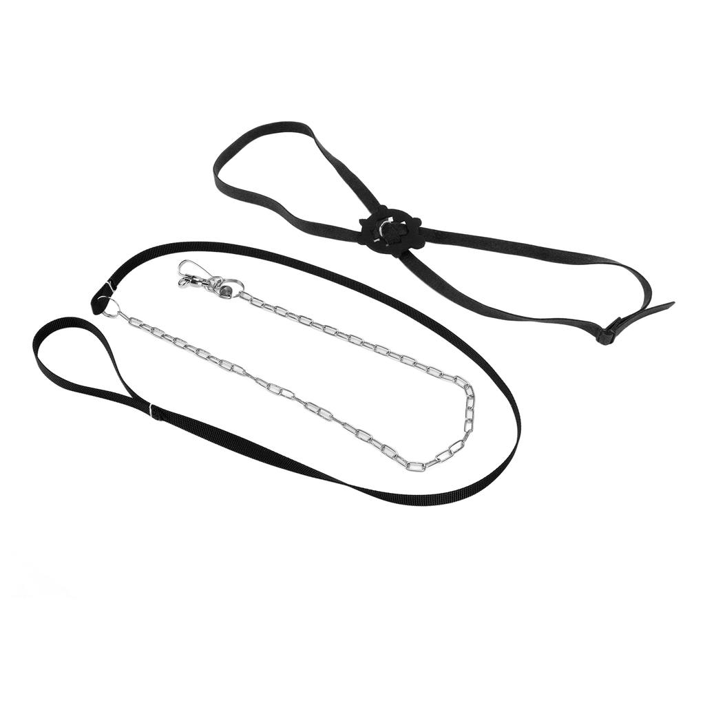 Schildkröten Geschirr Leine Verstellbar Hautfreundlich Haustier Geschirr Reptilien Leine für Draußen Schwarz L