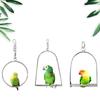 Hanging Birds Swing Stainless Steel Perch Stand Paw Grinding Toy for Parrot Cockatiel Budgie Macaw African Grey