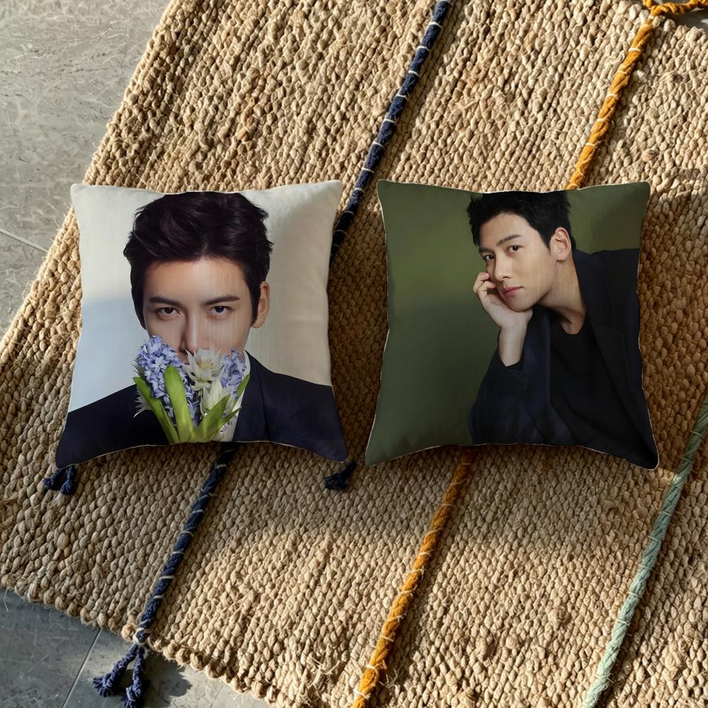 P-Ji Chang-Wook Cushion Cover Natural Linen Pillowcase Set, All-In-One Decor For Sofa, Bedroom & Chair