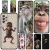 Handyhülle Für Samsung Galaxy A17 A15 A13 A51 A71 A41 A31 A21S A07 A05 A35 A55 A23 A25 A33 A53 A73 5G Hülle Niedlicher Lustiger Affe